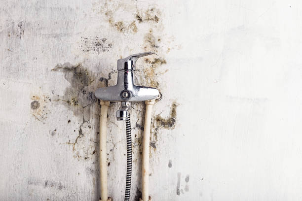 Best Kitchen Mold Remediation in Highland Park, TX